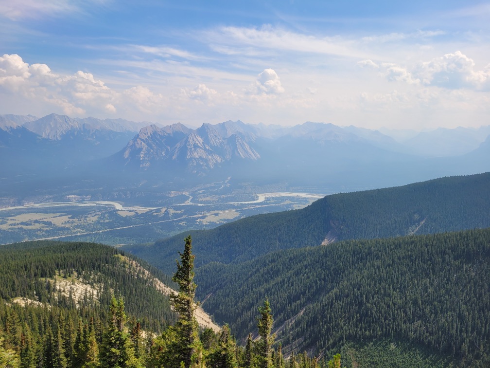 resized_20240804_141721-1