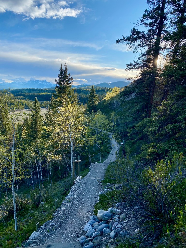 image_d53c2265-0680-42bb-b785-a7a5e49b3898